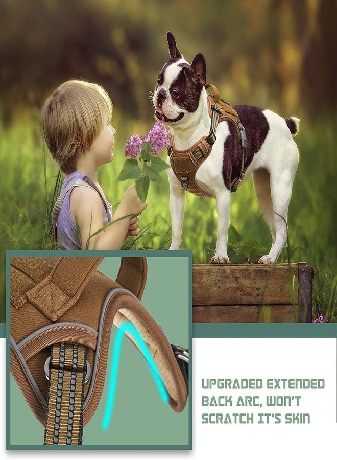 BUMBIN Dog Harness, Tactical XS, Brown, No Pull, Adjustable, Reflective, Soft Cotton, for Small Dogs Training, Fit Smart - Image 2