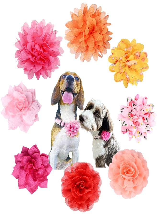 iToolai Dog Collar Flower Attachment, 8Pcs/4 Styles Cat Flowers Collar Charm Accessories,Chiffon Slide-on Flower Bows for Puppy Pet Grooming,Multicolored Pinky Series - Image 1