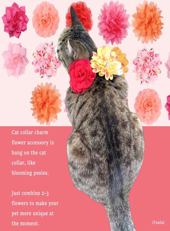 iToolai Dog Collar Flower Attachment, 8Pcs/4 Styles Cat Flowers Collar Charm Accessories,Chiffon Slide-on Flower Bows for Puppy Pet Grooming,Multicolored Pinky Series - Image 5