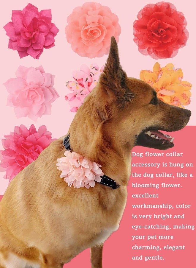 iToolai Dog Collar Flower Attachment, 8Pcs/4 Styles Cat Flowers Collar Charm Accessories,Chiffon Slide-on Flower Bows for Puppy Pet Grooming,Multicolored Pinky Series - Image 4