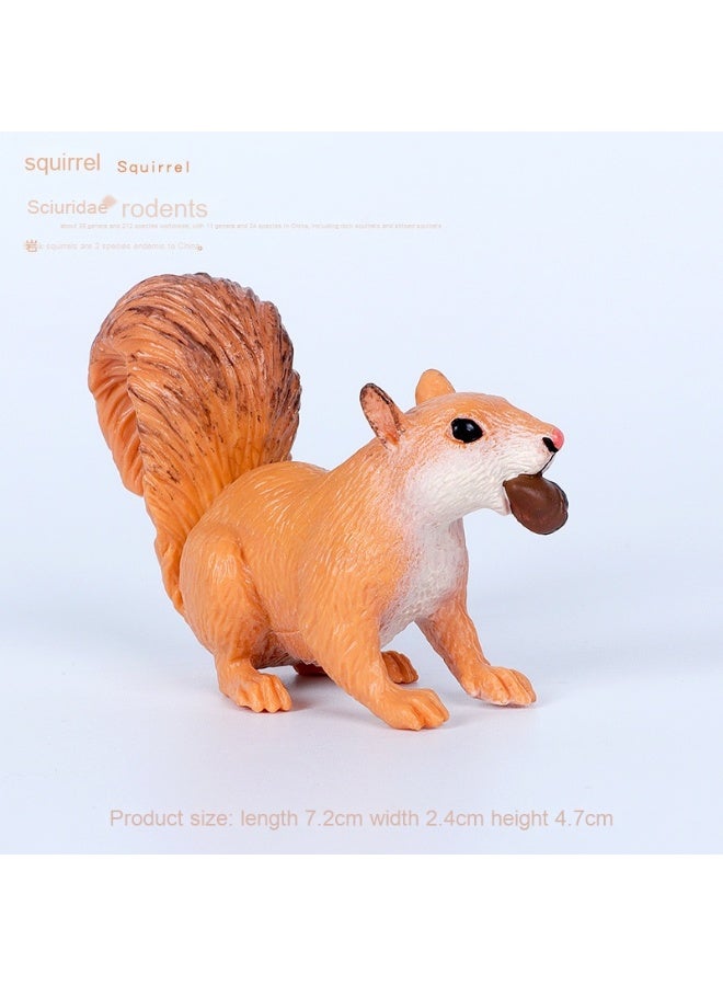 NIBEMINENT Realistic Zoo Model Squirrel and Chinchilla Cognitive Toy