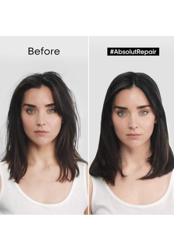loreal paris Serie Expert Absolut Repair Golden Lightweight Mask 250ml  - Image 3