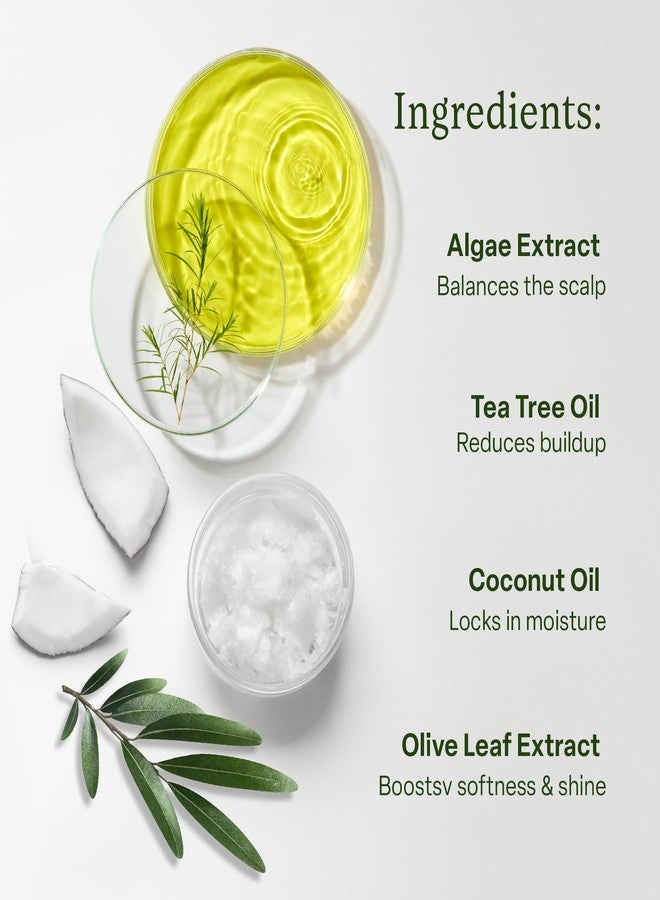 DiVi بلسم ديفي المرطب للنساء والرجال - ينعّم، يفك تشابك، ويقوي الشعر - تركيبة مغذية لجميع أنواع الشعر، بما في ذلك الشعر الجاف، المجعد، والمعالج بالألوان - 12 أونصة سائلة - Image 5