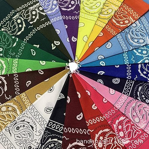 Tergy 30PCS Bandanas Unisex Paisley Bandanas Bulk Multi-Purpose Headband Cowboy Head Wrap Scarf for Women Men Boys Girls (Mixed Color) - Image 2