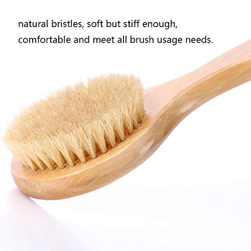 HiKin Dry Bath Body Brush 12.6", Long Handle Natural Bristles Shower Brush Back Scrubber with Anti-Slip Wooden Handle, Good for Exfoliating, Blood Circulation, Detox and Cellulite, etc. - Image 2