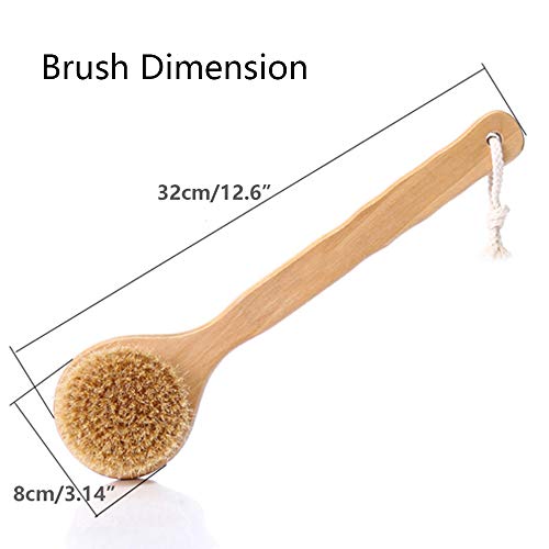 HiKin Dry Bath Body Brush 12.6", Long Handle Natural Bristles Shower Brush Back Scrubber with Anti-Slip Wooden Handle, Good for Exfoliating, Blood Circulation, Detox and Cellulite, etc. - Image 5