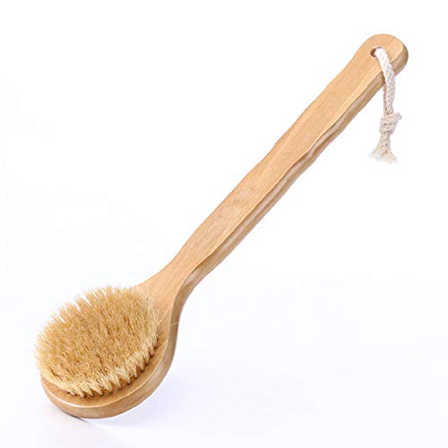 HiKin Dry Bath Body Brush 12.6", Long Handle Natural Bristles Shower Brush Back Scrubber with Anti-Slip Wooden Handle, Good for Exfoliating, Blood Circulation, Detox and Cellulite, etc. - Image 1