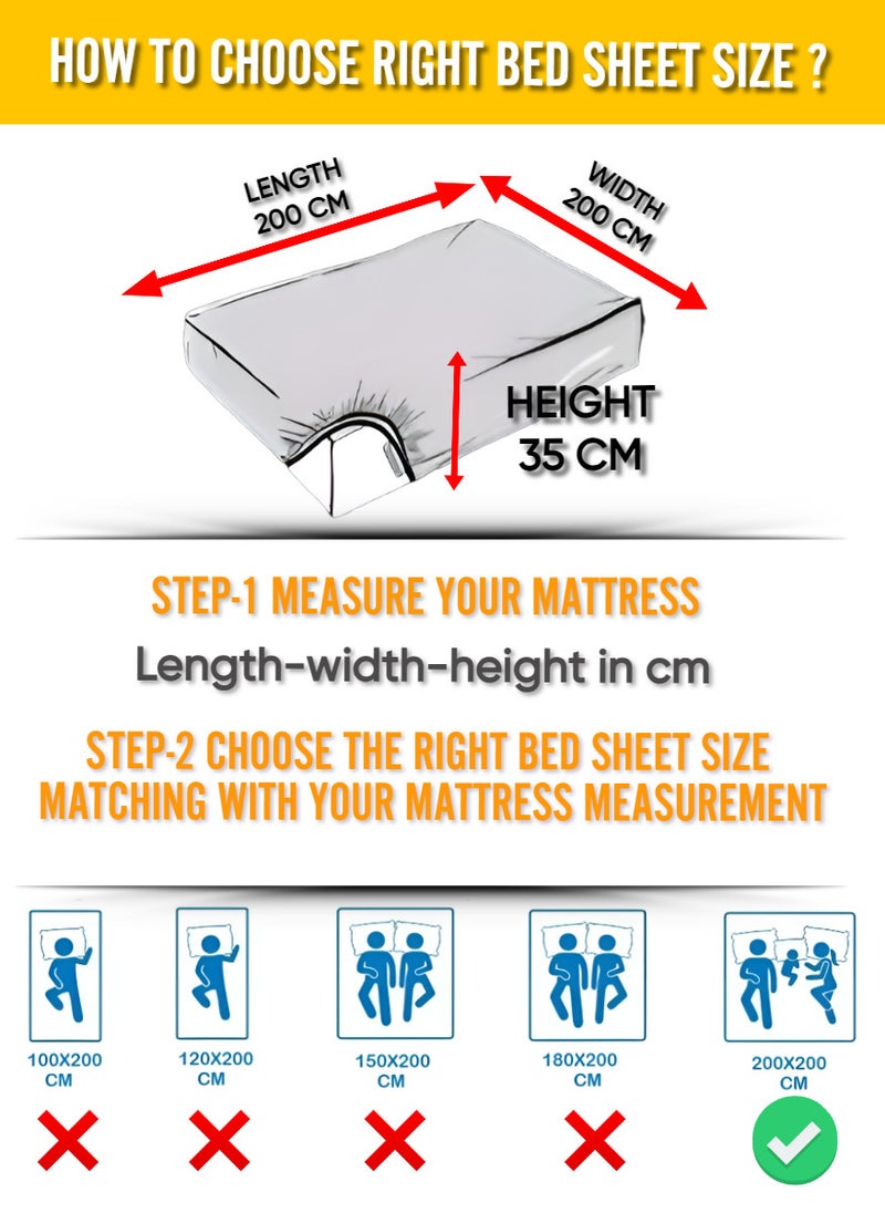 Blueberry Maroon Cotton King Striped Fitted Elastic Pack of 3 Bedsheet 200x200+35cm - Image 3