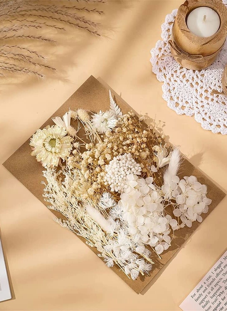 2 حزمة من الزهور البيضاء المجففة ، وتستخدم في الراتنج مجوهرات العفن ، مع ملقط الضغط الحقيقي على أوراق الزهور المجففة ، ديي الحرف اليدوية مسمار الفن شمعة الصابون جعل الهاتف المحمول قذيفة مجوهرات قلادة - Image 3