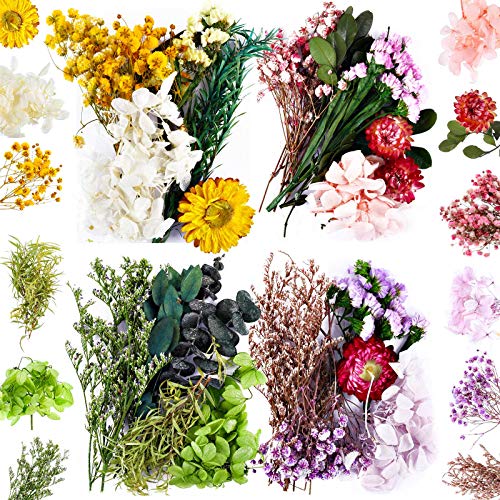 Nuanchu Nuanchu 4 Bags Natural Dried Flowers Leaves Set Mixed Dried Hydrangeas Daisies Natural Flowers Colorful Real Dry Flowers for DIY Candle Resin Jewelry Crafts Pendant Floral Decoration Supplies 