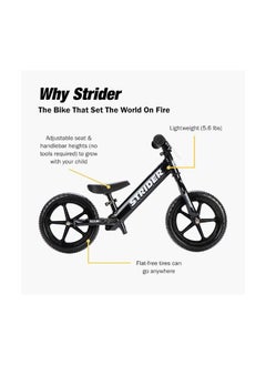 Strider 12” Pro Bike - No Pedal Balance Bicycle for Kids 18 Months to 5 Years - Includes Safety Pad, Padded Seat, Mini Grips & Flat-Free Tires - Tool-Free Assembly & Adjustments - pzsku/ZD1C46B567E8E1EC239CDZ/45/_/1726835752/87f12a61-a6ae-4371-a291-10430cebb04c