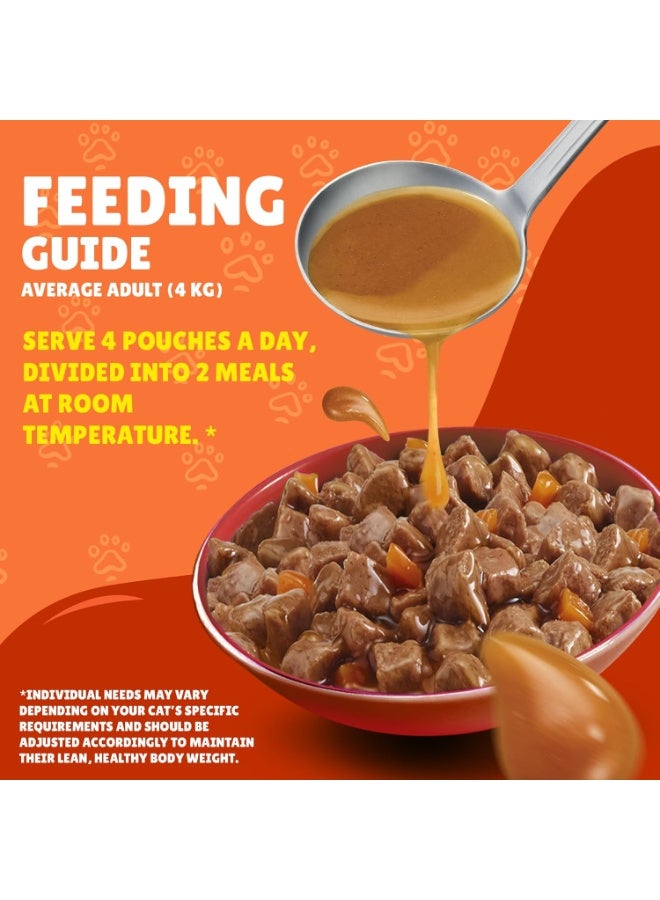 Purina Friskies-Duck Chunks in Gravy Wet Cat Food, 85g Pack of 10 - Image 5