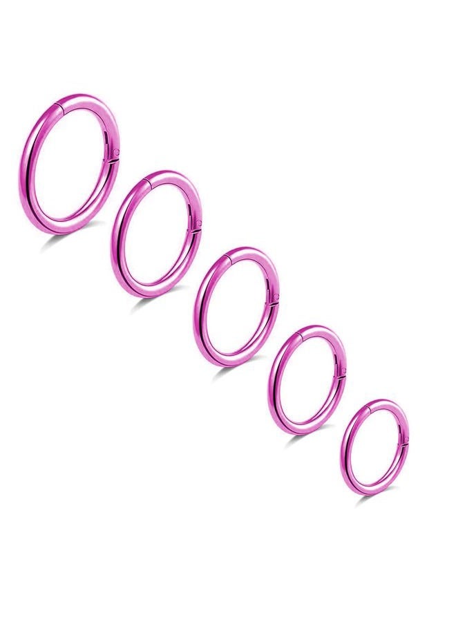 BLISI 5Pcs G23 Titanium Nose Rings 16G/18G/20G Hinged Clicker Segment Nose Rings Hoop, Lip Septum rings Multi-Color Tragus Cartilage Sleeper Earrings, 6mm-10mm Hypoallergenic Nose Rings for Women Men - Image 1
