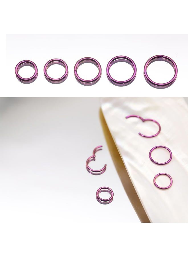BLISI 5Pcs G23 Titanium Nose Rings 16G/18G/20G Hinged Clicker Segment Nose Rings Hoop, Lip Septum rings Multi-Color Tragus Cartilage Sleeper Earrings, 6mm-10mm Hypoallergenic Nose Rings for Women Men - Image 2