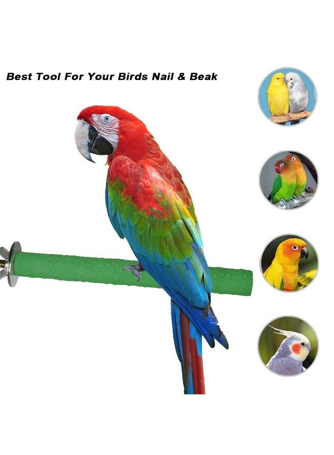 ايوالي مجموعة ألعاب 10 قطع من حامل الطيور، حامل ببغاء من الخشب الطبيعي، فرع ألعاب ببغاء، عصا تمرين، إكسسوارات قفص الطيور للطيور البادجي والطيور المحبة والعصافير، ألعاب الطيور الصغيرة - Image 5