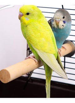 IOUALEY 10 PCS Bird Perch, Bird Stand Toy Set Natural Wood Parrot Stand Branch Parakeet Toys Stick Exercise Bird Cage Accessories for Budgies Love Birds Finches Small Bird Toys  - Image 4