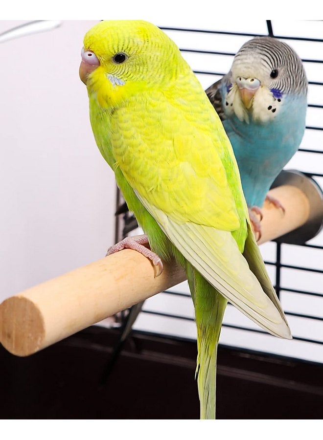 ايوالي مجموعة ألعاب 10 قطع من حامل الطيور، حامل ببغاء من الخشب الطبيعي، فرع ألعاب ببغاء، عصا تمرين، إكسسوارات قفص الطيور للطيور البادجي والطيور المحبة والعصافير، ألعاب الطيور الصغيرة - Image 4