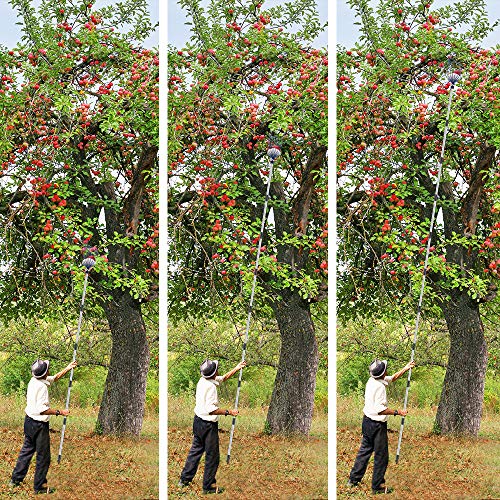 Oak Leaf Fruit Picker, 13 FT Picker Pole with Basket, Length Adjustable Apple Orange Picker Tool Tree Fruit Catcher with Lightweight Stainless Steel Connecting Pole, Foam Pad, 2 Metal Clamp(Upgraded) - Image 3