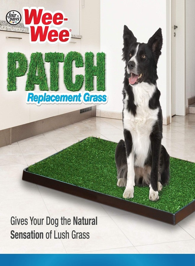 Four Paws Wee-Wee Premium Patch Indoor and Outdoor Pet Potty for Dogs l Dog Potty Training l Artificial Grass l Wee-Wee Patch - Image 5
