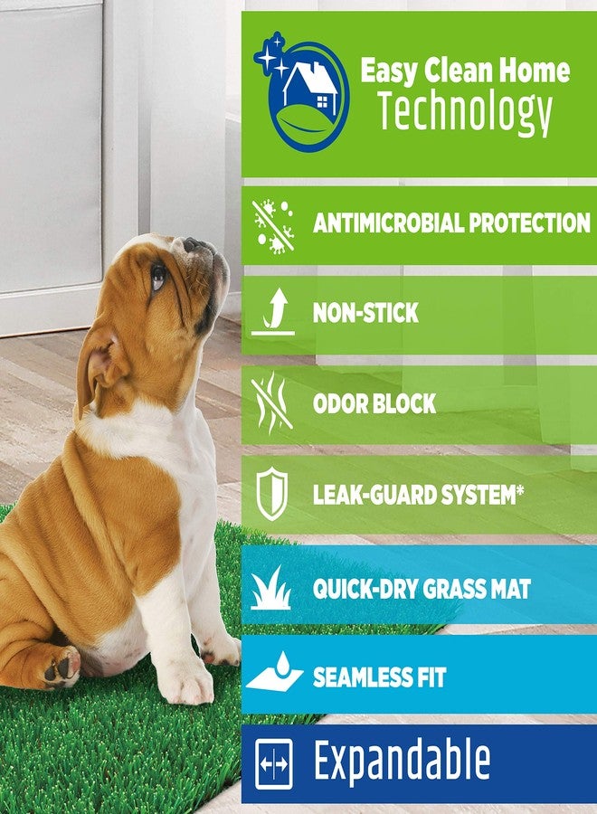 Four Paws Wee-Wee Premium Patch Indoor and Outdoor Pet Potty for Dogs l Dog Potty Training l Artificial Grass l Wee-Wee Patch - Image 3