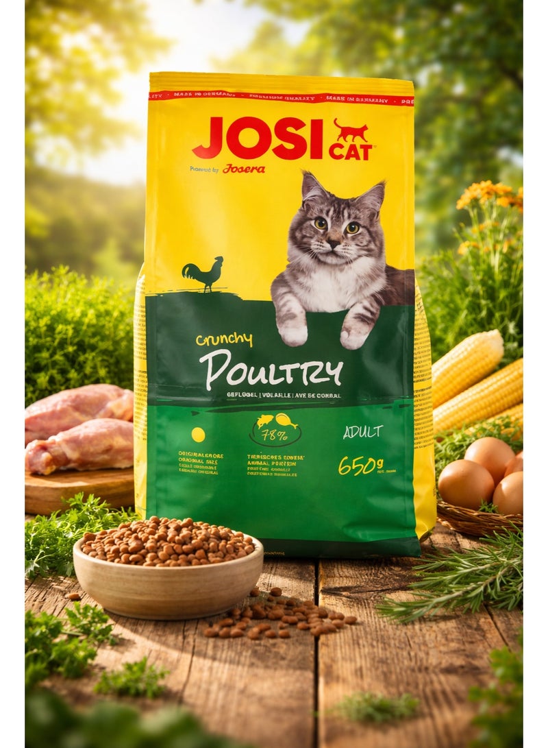 CAT Crunchy Poultry Dry Food – Adult Cat Food with 78% Animal Protein – Crispy Kibble – German Quality – 650 g