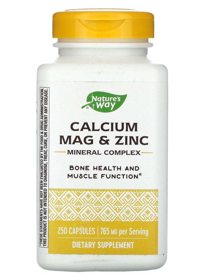Nature's Calcium Mag & Zinc Mineral Complex 765 mg 250 Capsules 