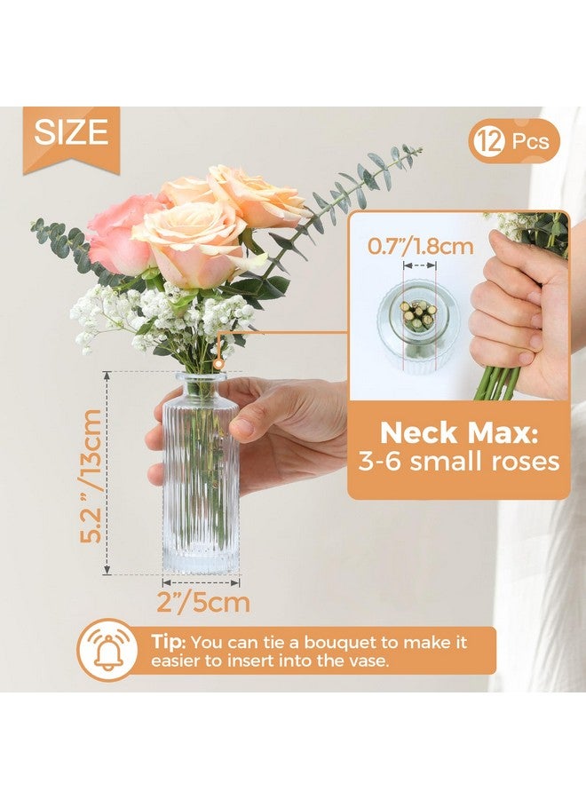 ComSaf Glass Bud Vases Set of 12, Small Bud Vase in Bulk, Mini Flower Vase for Centerpiece, Vintage Decorative Vase Set for Flowers, Wedding Reception, Christmas, Home Decor, Housewarming Gift (Clear) - Image 4