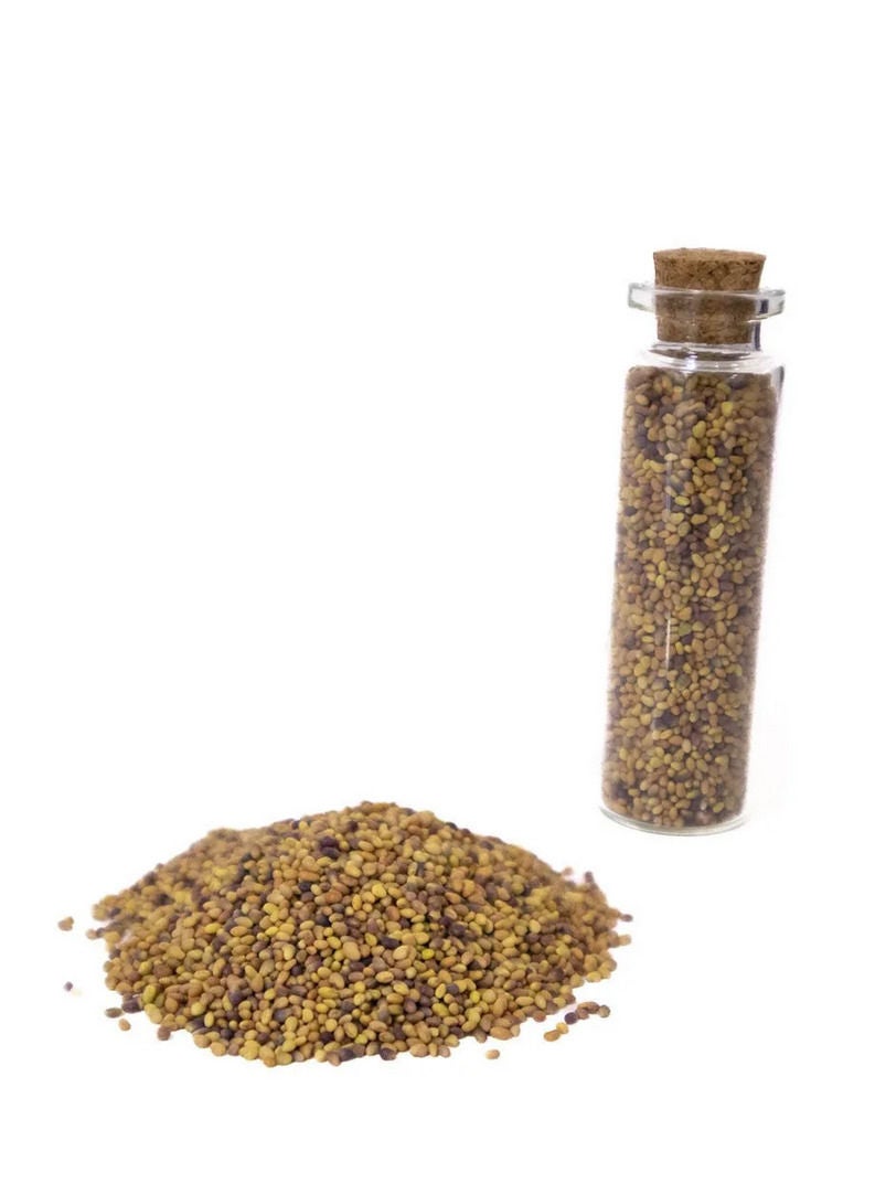 Generic Aquarium Seeds Lucky Leaf Grass 15ml  - Image 1