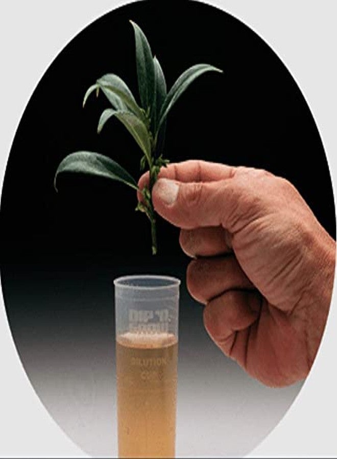 Hydrofarm DG00201 Liquid Hormone Concentrate Hydroponic Rooting Solution, 2-Ounce - Image 2