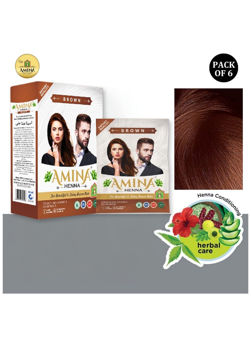 Amina Natural Brown Henna Powder For Hair Color, Natural Brown Hair, Herbal Conditioning Hair Dye for Silky & Shiny Soft Hair Colour for Men & Women (10 Gms x Pack Of 6) - Image 1