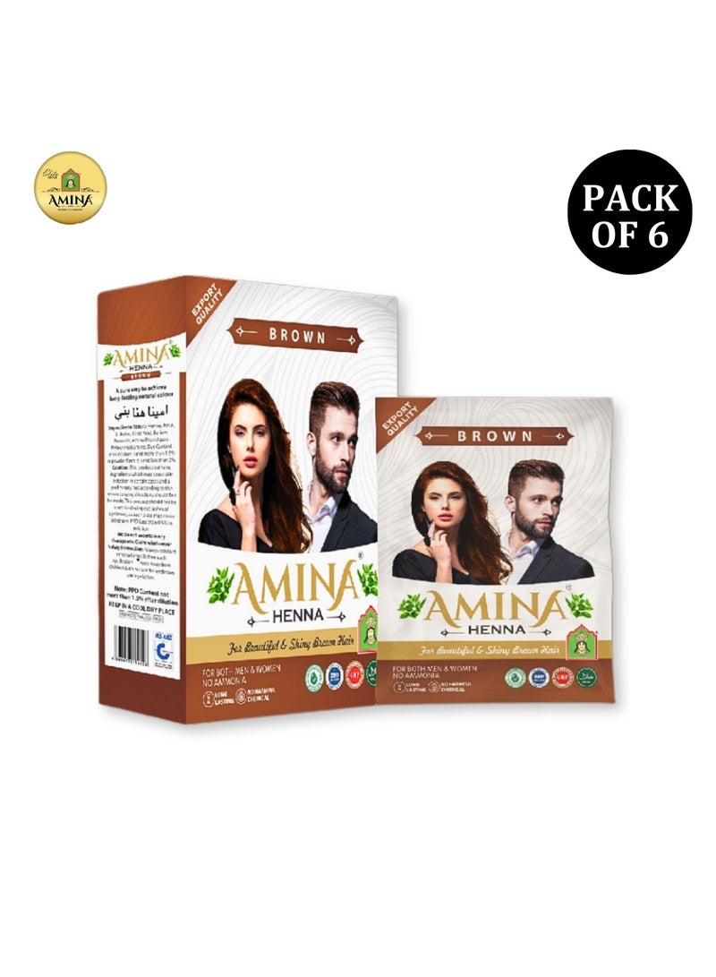 Amina Natural Brown Henna Powder For Hair Color, Natural Brown Hair, Herbal Conditioning Hair Dye for Silky & Shiny Soft Hair Colour for Men & Women (10 Gms x Pack Of 6) - Image 3