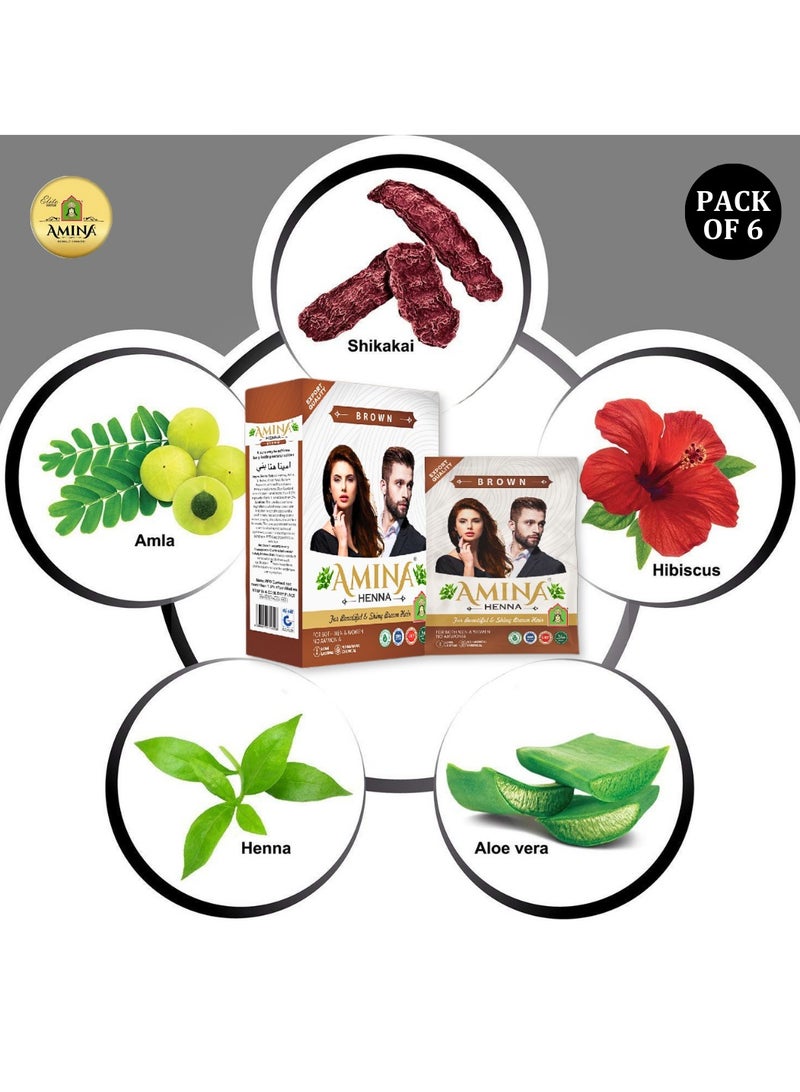 Amina Natural Brown Henna Powder For Hair Color, Natural Brown Hair, Herbal Conditioning Hair Dye for Silky & Shiny Soft Hair Colour for Men & Women (10 Gms x Pack Of 6) - Image 2