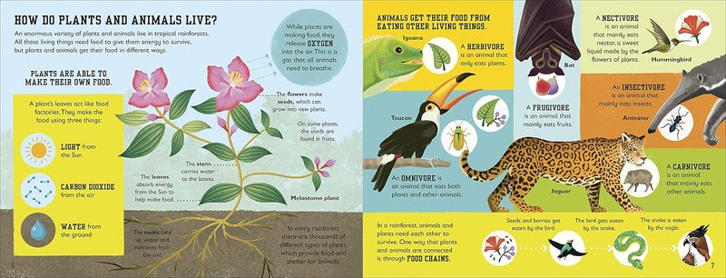 Rainforest Book - Image 4