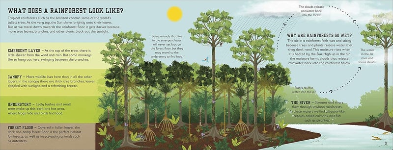Rainforest Book - Image 5