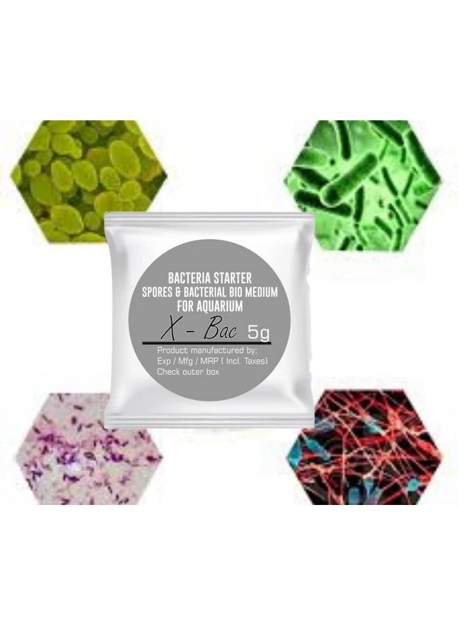 VAYINATO Aquatic Remedies X-Bac Beneficial Bacteria for Aquarium 5g Pack of 5 - Image 4