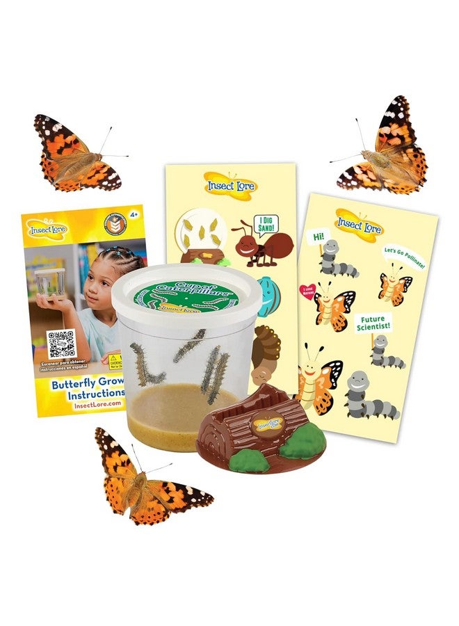 Insect Lore Insect Lore Cup of Caterpillars | 5 Live Caterpillars for Butterfly Garden | Refill for Painted Lady Butterfly Kit | Stickers & Chrysalis Log | STEM Learning Activity - Image 1