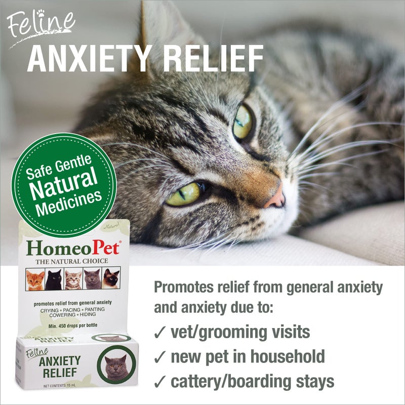 HomeoPet Feline Anxiety Relief, Natural Stress and Anxiety Support, Anxiety Supplement for Cats, 15 Milliliters - Image 2