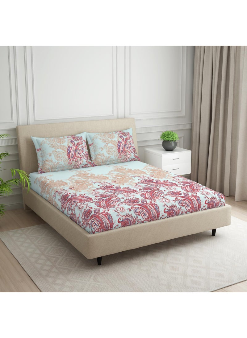 SPACES SPACES 100% Cotton Double Bedsheet with 2 Pillow Covers (Size 108 x 108 inch) | 144 TC Bed Sheet for Double Bed | Breathable Pure Cotton King Size Bedsheet | FLAMBOYANCE | Ornate Light Blue  - Image 2