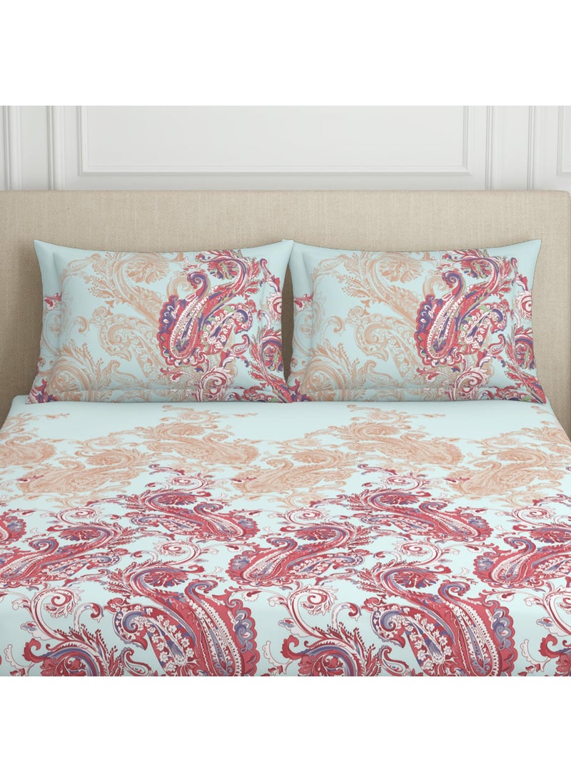 SPACES SPACES 100% Cotton Double Bedsheet with 2 Pillow Covers (Size 108 x 108 inch) | 144 TC Bed Sheet for Double Bed | Breathable Pure Cotton King Size Bedsheet | FLAMBOYANCE | Ornate Light Blue  - Image 4