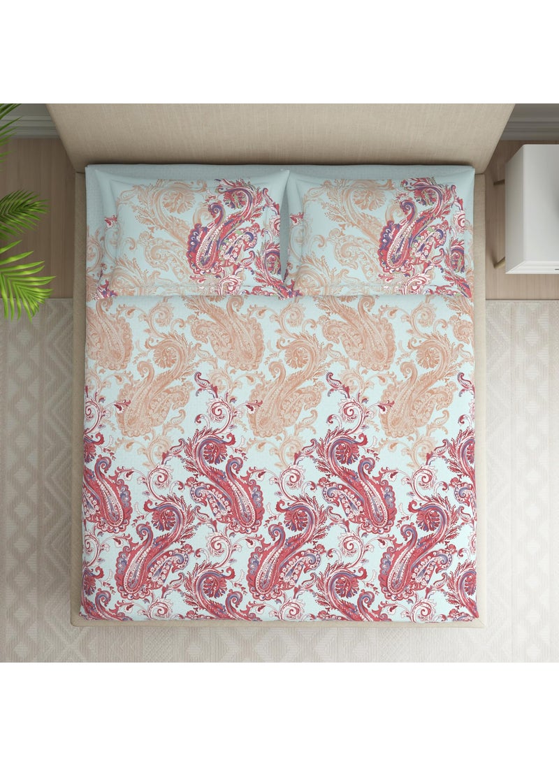 SPACES SPACES 100% Cotton Double Bedsheet with 2 Pillow Covers (Size 108 x 108 inch) | 144 TC Bed Sheet for Double Bed | Breathable Pure Cotton King Size Bedsheet | FLAMBOYANCE | Ornate Light Blue  - Image 3