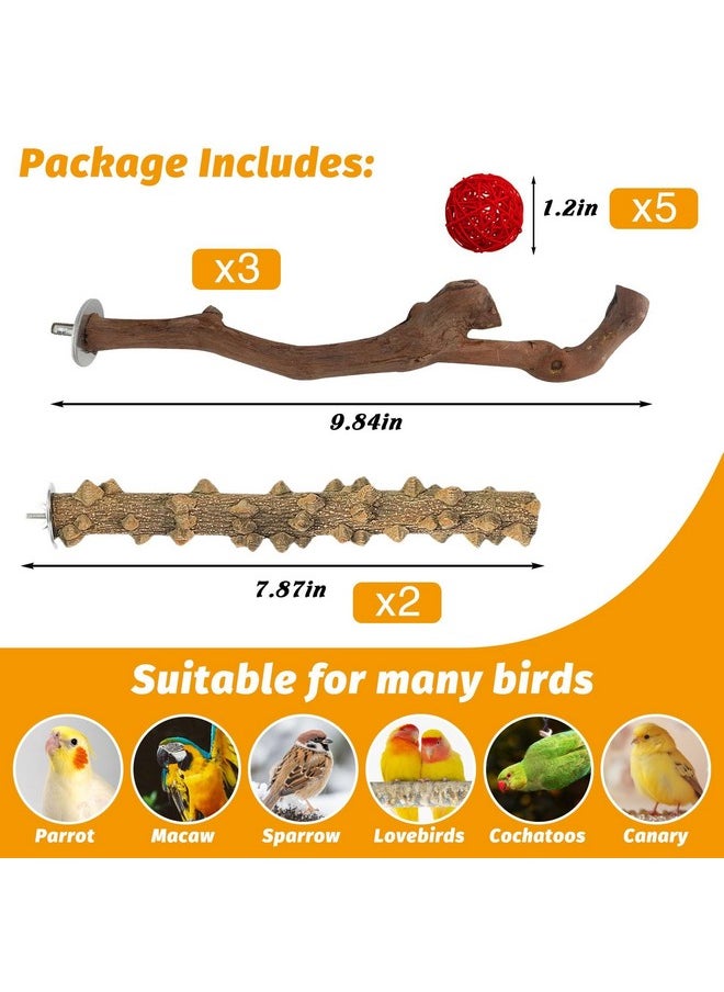 Kathson - 5Pcs Natural Parrot Perch For Cage Wooden Bird Perches Grape Bird Stick Parakeet Climbing Standing Branches Toy Chewable Cage Accessories For Small Budgies Cockatiels Lovebirds Budgies - Image 1