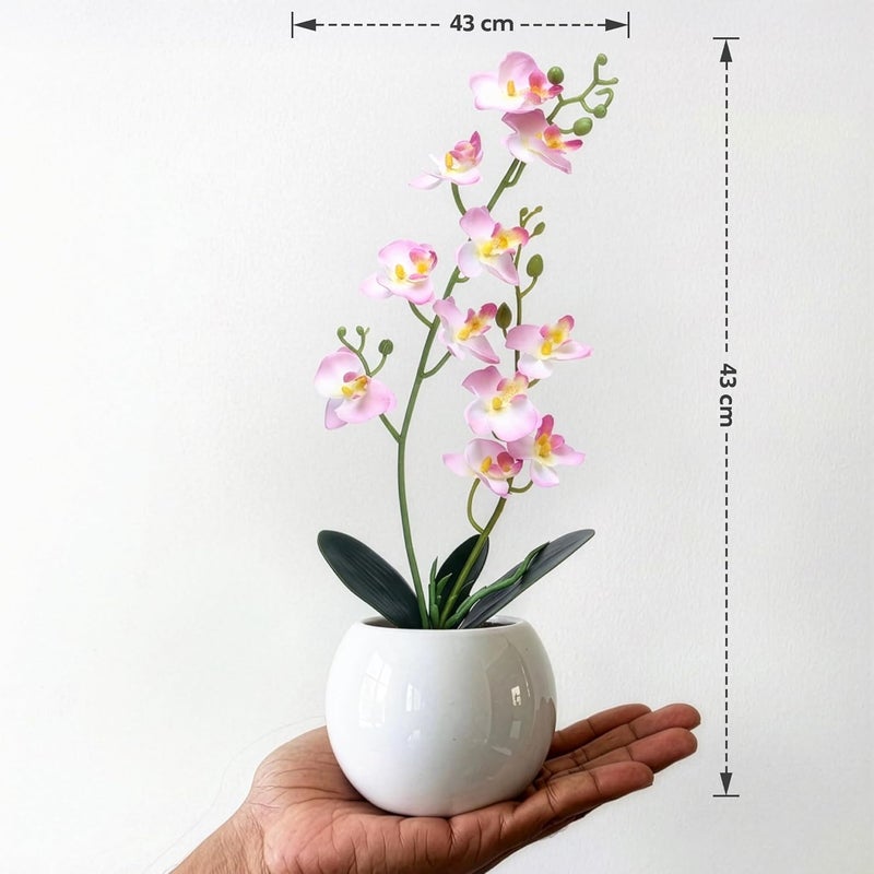 Decor & More - Artificial Orchid Flowers for Decoration with White Ceramic Pot | 43 cm Artificial Flowers with Pot | Phalaenopsis Flower for Vase | Realistic Flower for Home, Bedroom, Office - Image 2