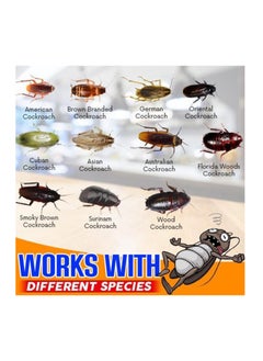 JUE-FISH Roach Trap Agent for Cockroach Gel Bait Cockroach Pest Control Insecticide 2pcs  - Image 3