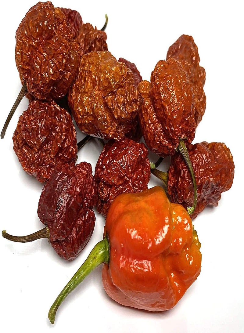 GGOOT Apocalypse Scorpion Ultra Hot  Dried Whole Pods 5 Pack - Image 1