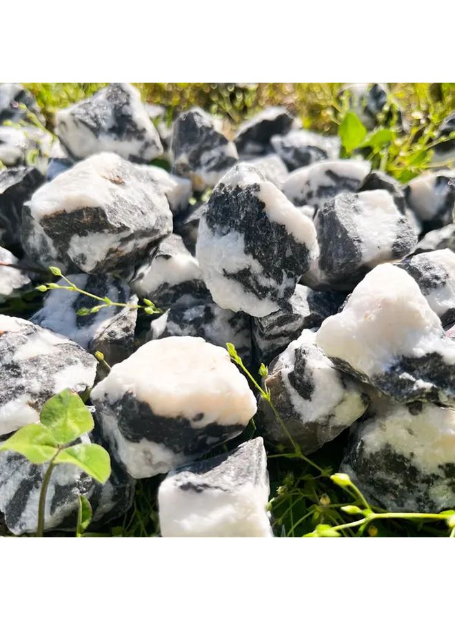 Natural Zebra Stone Raw Crystal 100g Black White Marbled For Fish Tanks Decor - Image 3