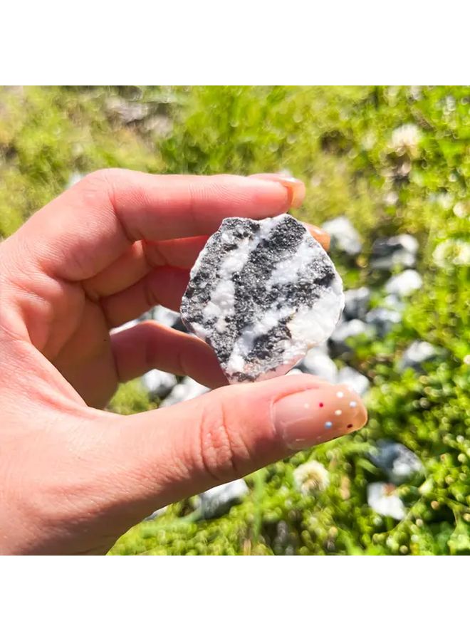 Natural Zebra Stone Raw Crystal 100g Black White Marbled For Fish Tanks Decor - Image 1