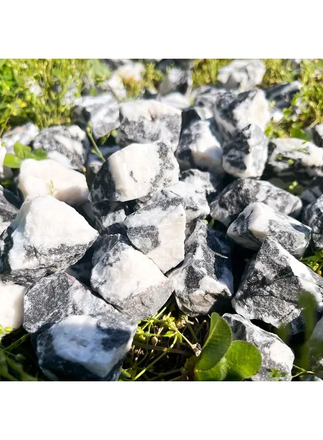 Natural Zebra Stone Raw Crystal 100g Black White Marbled For Fish Tanks Decor - Image 5