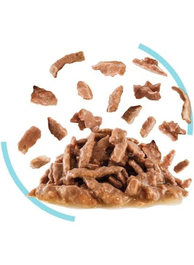 ROYAL CANIN رويال كانين للتغذية الصحية للقطط - طعام رطب بنكهة الصلصة - أكياس 12 × 85 جرام - Image 3