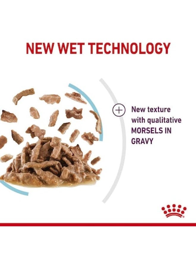 ROYAL CANIN رويال كانين للتغذية الصحية للقطط - طعام رطب بنكهة الصلصة - أكياس 12 × 85 جرام - Image 4