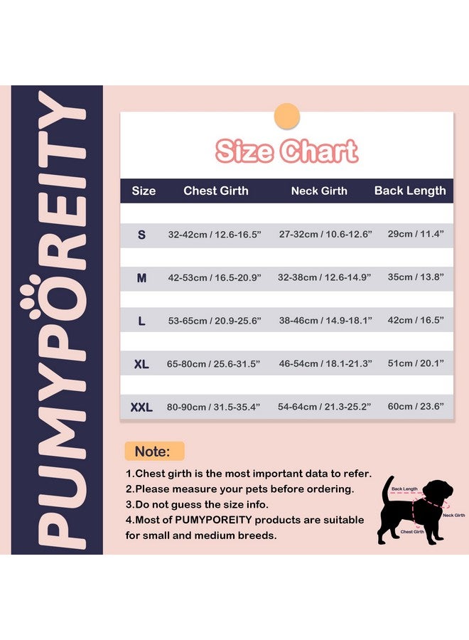 بوماي بوريتي طقم ملابس رسمية للكلاب الكبيرة من PUMYPOREITY - بدلة رسمية وربطة عنق على شكل فراشة، مناسب لحفلات الزفاف الرسمية، رمادي، مقاس XL - Image 3